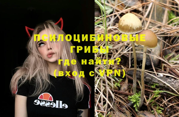 бошки Дмитриев