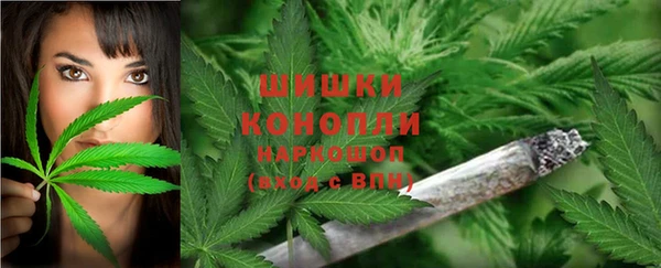 бошки Дмитриев