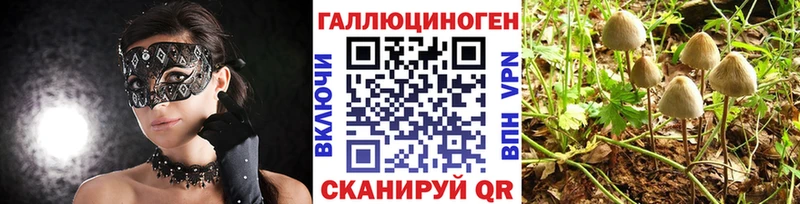 Псилоцибиновые грибы GOLDEN TEACHER  Купить закладки  Унеча 